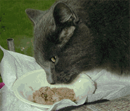 munch munch....